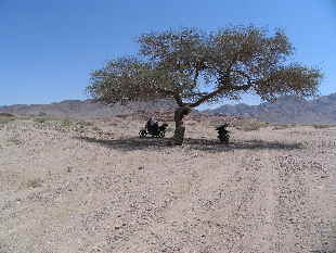 Wadi Rum South