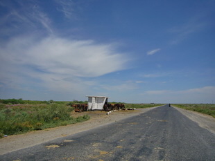 entlang des Syrdarja