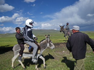 Anni auf dem Grautier