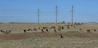 kasachische Steppe