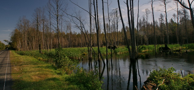 dsc09769c_635 dsc09769c_635